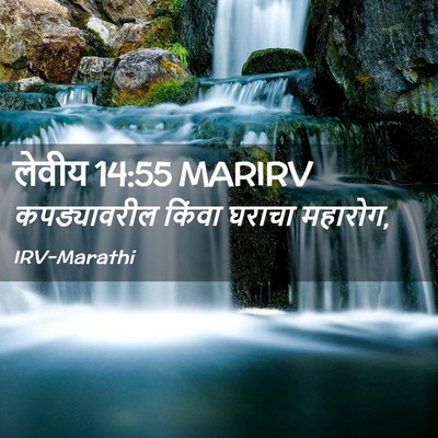 Picture 02 - लेवीय 14:55 MARIRV - कपड्यावरील किंवा - Bible Verse Picture