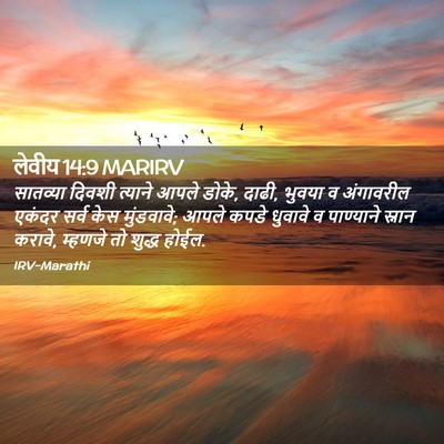 Picture 02 - लेवीय 14:9 MARIRV - सातव्या दिवशी - Bible Verse Picture