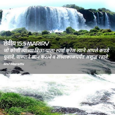 Picture 02 - लेवीय 15:5 MARIRV - जो कोणी त्याच्या - Bible Verse Picture