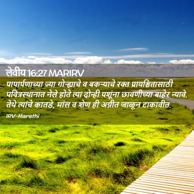 Picture 02 - लेवीय 16:27 MARIRV - पापार्पणाच्या - Bible Verse Picture