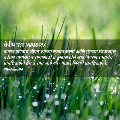 Picture 02 - लेवीय 17:11 MARIRV - कारण प्राण्याचे - Bible Verse Picture