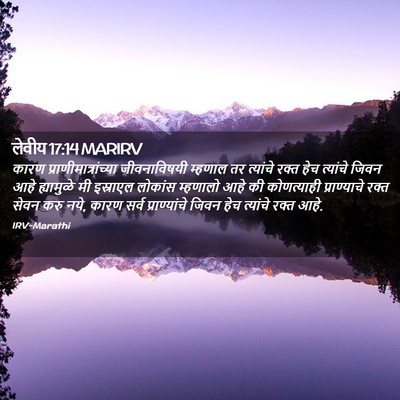 Picture 02 - लेवीय 17:14 MARIRV - कारण - Bible Verse Picture