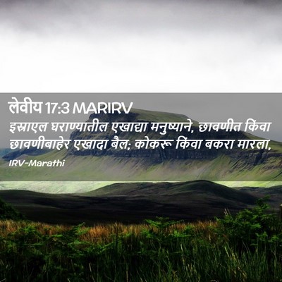 Picture 02 - लेवीय 17:3 MARIRV - इस्राएल - Bible Verse Picture