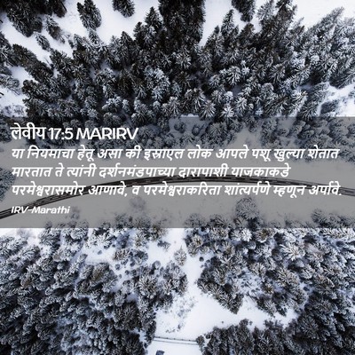 Picture 02 - लेवीय 17:5 MARIRV - या नियमाचा हेतू - Bible Verse Picture