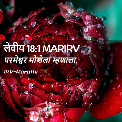 Picture 02 - लेवीय 18:1 MARIRV - परमेश्वर मोशेला - Bible Verse Picture