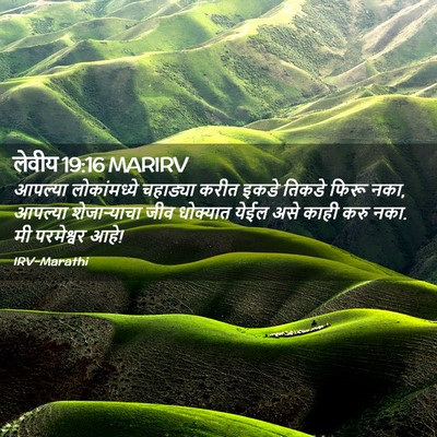 Picture 02 - लेवीय 19:16 MARIRV - आपल्या लोकांमध्ये - Bible Verse Picture