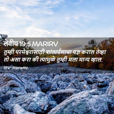 Picture 02 - लेवीय 19:5 MARIRV - तुम्ही - Bible Verse Picture