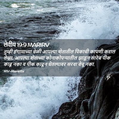 Picture 02 - लेवीय 19:9 MARIRV - तुम्ही हंगामाच्या - Bible Verse Picture