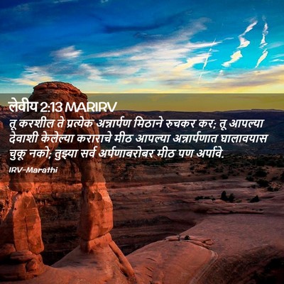 Picture 02 - लेवीय 2:13 MARIRV - तू करशील ते - Bible Verse Picture