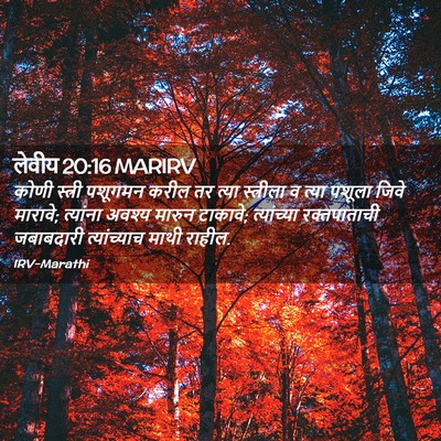Picture 02 - लेवीय 20:16 MARIRV - कोणी स्त्री - Bible Verse Picture