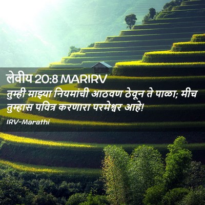 Picture 02 - लेवीय 20:8 MARIRV - तुम्ही माझ्या - Bible Verse Picture