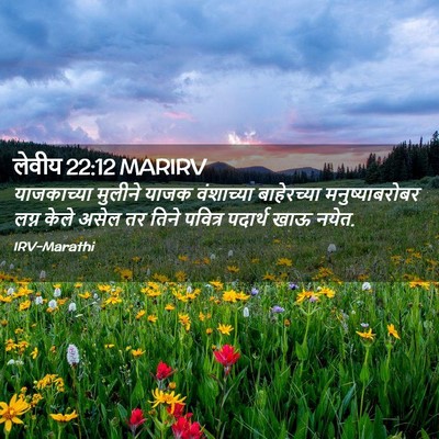 Picture 02 - लेवीय 22:12 MARIRV - याजकाच्या मुलीने - Bible Verse Picture