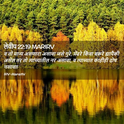Picture 02 - लेवीय 22:19 MARIRV - व तो मान्य असणारा - Bible Verse Picture
