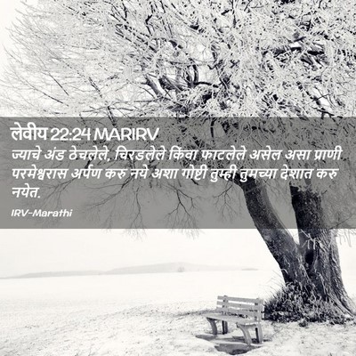 Picture 02 - लेवीय 22:24 MARIRV - ज्याचे अंड - Bible Verse Picture
