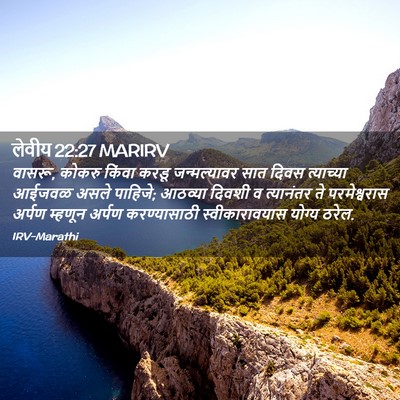 Picture 02 - लेवीय 22:27 MARIRV - वासरू, कोकरु किंवा - Bible Verse Picture
