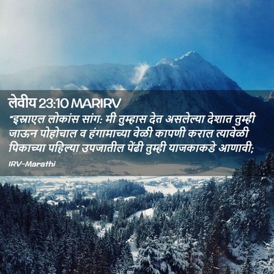 Picture 02 - लेवीय 23:10 MARIRV - “इस्राएल लोकांस - Bible Verse Picture