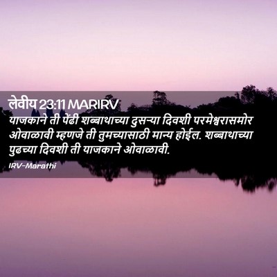 Picture 02 - लेवीय 23:11 MARIRV - याजकाने ती पेंढी - Bible Verse Picture