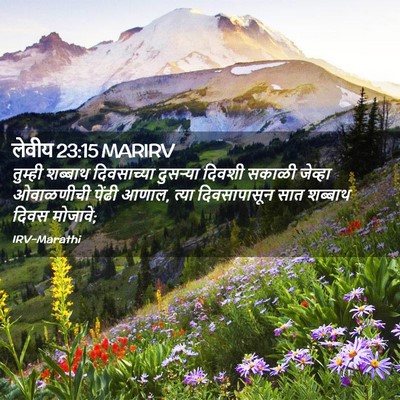 Picture 02 - लेवीय 23:15 MARIRV - तुम्ही शब्बाथ - Bible Verse Picture