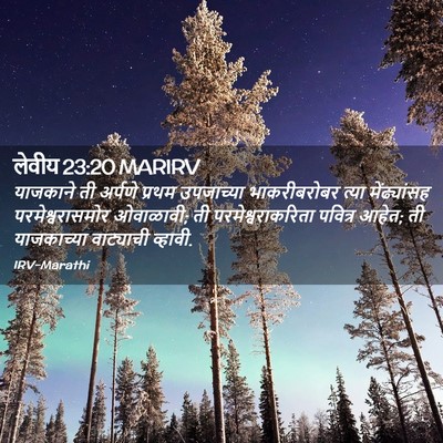 Picture 02 - लेवीय 23:20 MARIRV - याजकाने ती अर्पणे - Bible Verse Picture