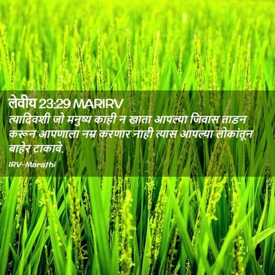 Picture 02 - लेवीय 23:29 MARIRV - त्यादिवशी जो - Bible Verse Picture