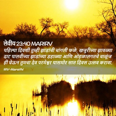 Picture 02 - लेवीय 23:40 MARIRV - पहिल्या दिवशी - Bible Verse Picture