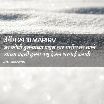 Picture 02 - लेवीय 24:18 MARIRV - जर कोणी - Bible Verse Picture