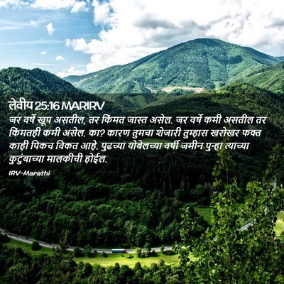 Picture 02 - लेवीय 25:16 MARIRV - जर वर्षे खूप असतील, - Bible Verse Picture