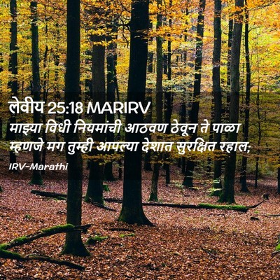 Picture 02 - लेवीय 25:18 MARIRV - माझ्या विधी - Bible Verse Picture