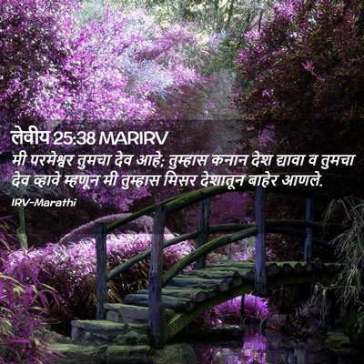 Picture 02 - लेवीय 25:38 MARIRV - मी परमेश्वर तुमचा - Bible Verse Picture