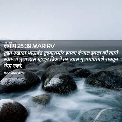 Picture 02 - लेवीय 25:39 MARIRV - तुझा एखादा भाऊबंद - Bible Verse Picture