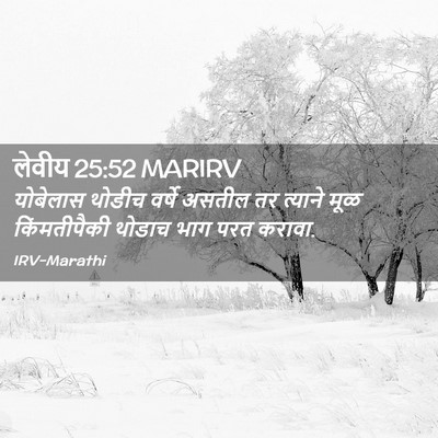 Picture 02 - लेवीय 25:52 MARIRV - योबेलास थोडीच - Bible Verse Picture