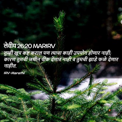 Picture 02 - लेवीय 26:20 MARIRV - तुम्ही खूप कष्ट - Bible Verse Picture