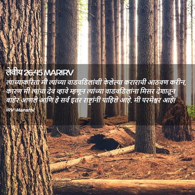 Picture 02 - लेवीय 26:45 MARIRV - त्यांच्याकरिता मी - Bible Verse Picture