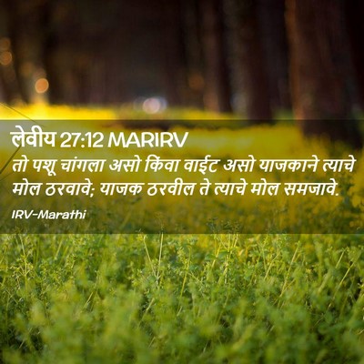 Picture 02 - लेवीय 27:12 MARIRV - तो पशू चांगला असो - Bible Verse Picture