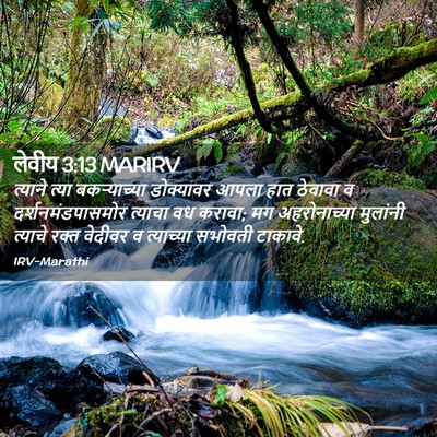 Picture 02 - लेवीय 3:13 MARIRV - त्याने त्या - Bible Verse Picture