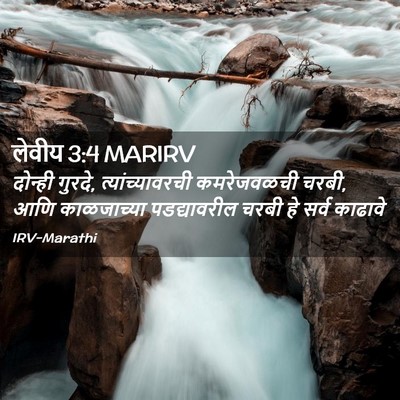 Picture 02 - लेवीय 3:4 MARIRV - दोन्ही गुरदे, - Bible Verse Picture