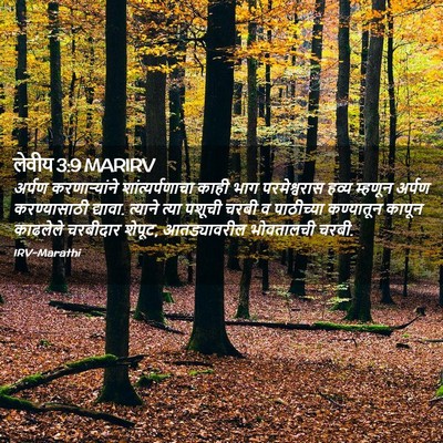 Picture 02 - लेवीय 3:9 MARIRV - अर्पण करणाऱ्यांने - Bible Verse Picture