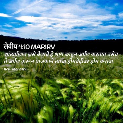 Picture 02 - लेवीय 4:10 MARIRV - शांत्यर्पणात जसे - Bible Verse Picture