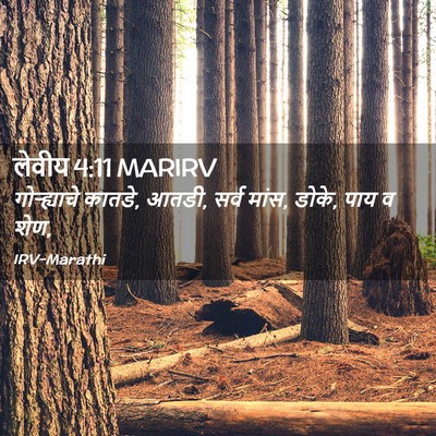 Picture 02 - लेवीय 4:11 MARIRV - गोऱ्ह्याचे कातडे, - Bible Verse Picture