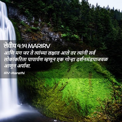 Picture 02 - लेवीय 4:14 MARIRV - आणि मग जर ते - Bible Verse Picture