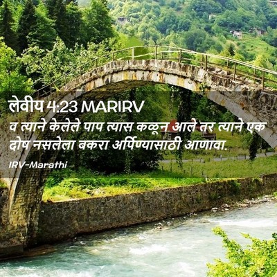 Picture 02 - लेवीय 4:23 MARIRV - व त्याने केलेले - Bible Verse Picture