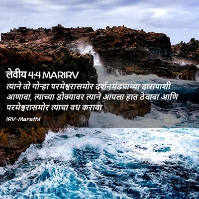 Picture 02 - लेवीय 4:4 MARIRV - त्याने तो गोऱ्हा - Bible Verse Picture