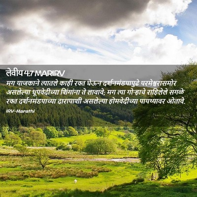 Picture 02 - लेवीय 4:7 MARIRV - मग याजकाने - Bible Verse Picture