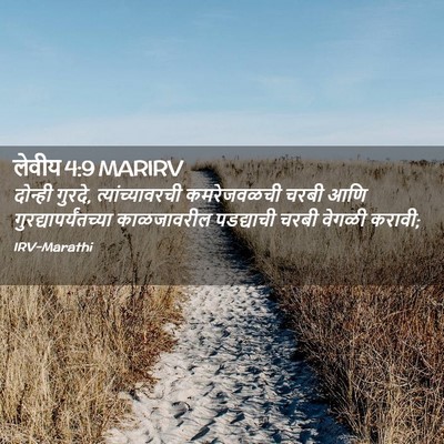 Picture 02 - लेवीय 4:9 MARIRV - दोन्ही गुरदे, - Bible Verse Picture