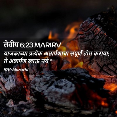 Picture 02 - लेवीय 6:23 MARIRV - याजकाच्या - Bible Verse Picture