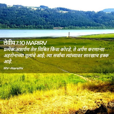 Picture 02 - लेवीय 7:10 MARIRV - प्रत्येक - Bible Verse Picture