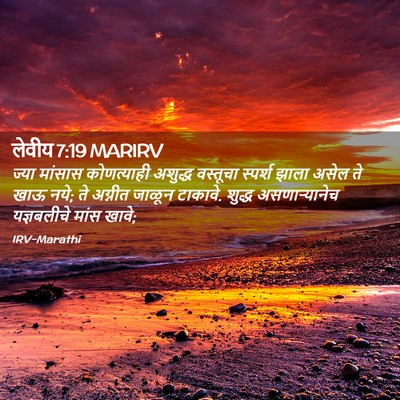 Picture 02 - लेवीय 7:19 MARIRV - ज्या मांसास - Bible Verse Picture