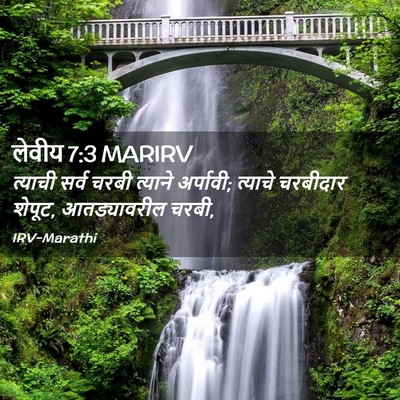 Picture 02 - लेवीय 7:3 MARIRV - त्याची सर्व चरबी - Bible Verse Picture