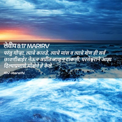 Picture 02 - लेवीय 8:17 MARIRV - परंतु गोऱ्हा, - Bible Verse Picture