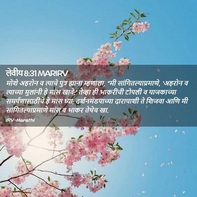 Picture 02 - लेवीय 8:31 MARIRV - मोशे अहरोन व - Bible Verse Picture